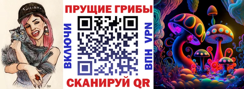 Купить где  Нарткала  Псилоцибиновые грибы Psilocybine cubensis 